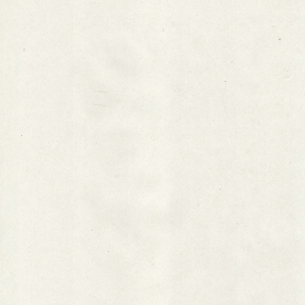 PERLENCOPY DIN A4 Recycled Printer Paper 80gsm, Whiteness CIE 55, Box with 5 Reams à 500 Sheets, 2,500 Sheets